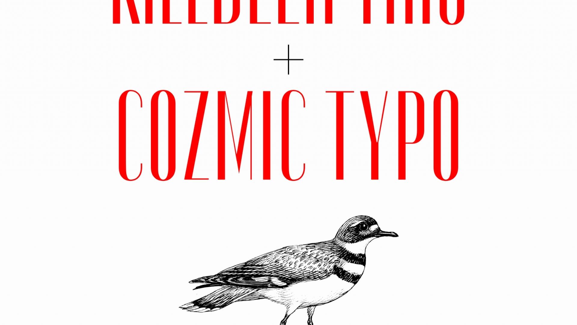 Killdeer Trio w/s/g Cozmic Typo